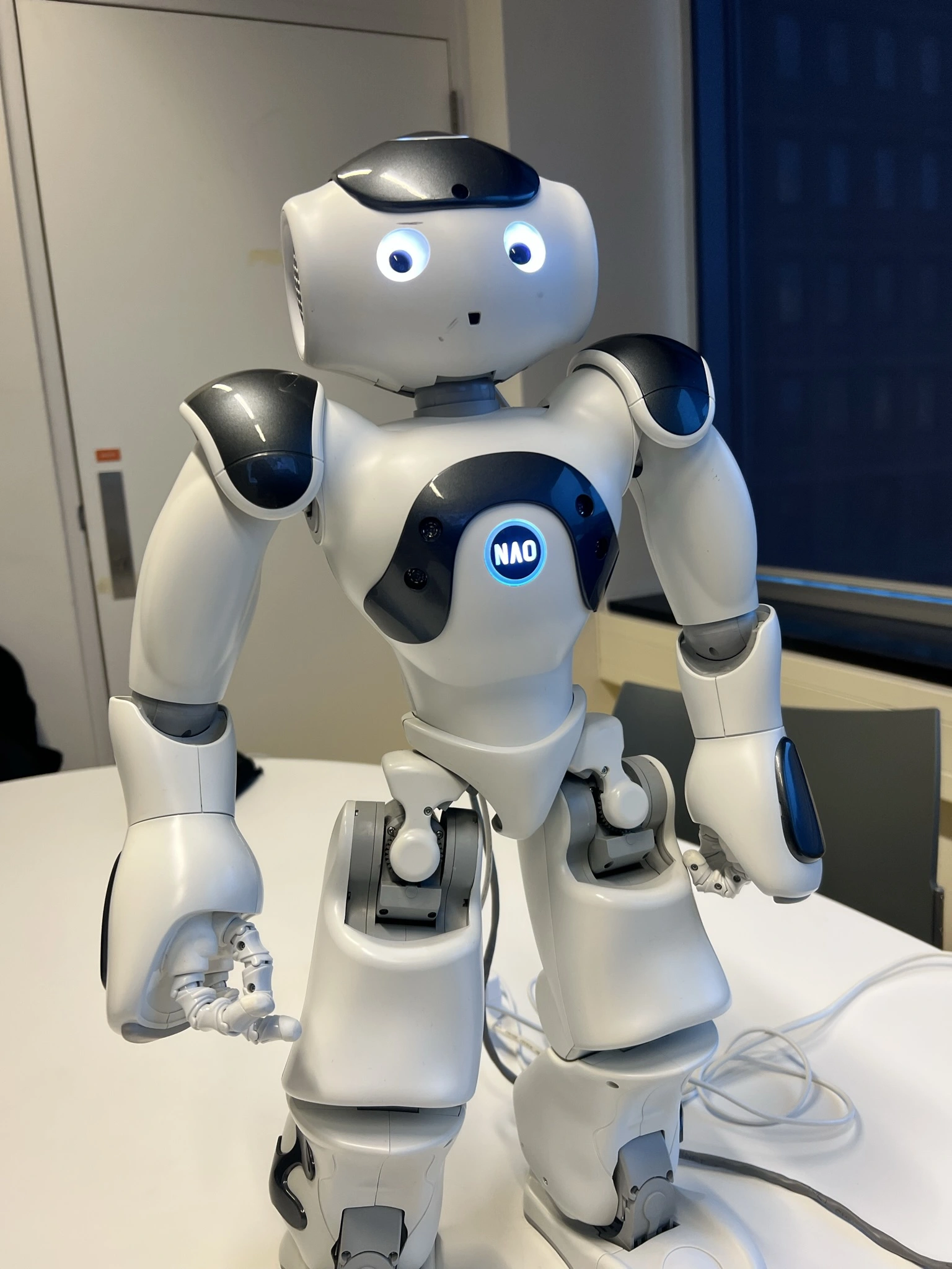 The NAO robot used for the final Robot Finn prototype